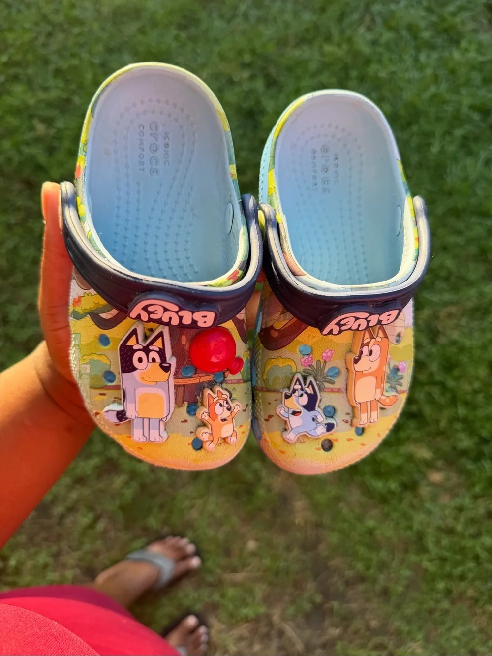 Bluey crocs
